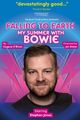Falling to Earth: My Summer with Bowie in Ireland