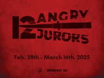 Twelve Angry Jurors 