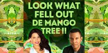 Look What Fell Out De Mango Tree – a wild-ride, delicious new true life comedy drama – A Black History [every] Month event