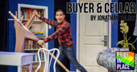 Buyer & Cellar show poster