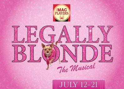 Legally Blonde the Musical show poster