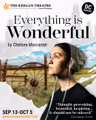 Everything Is Wonderful in Washington, DC