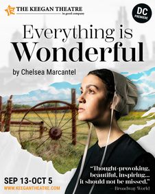 Everything Is Wonderful show poster