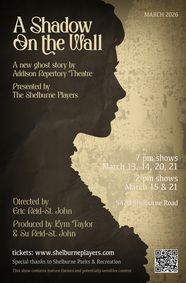 The Shadow on The Wall show poster
