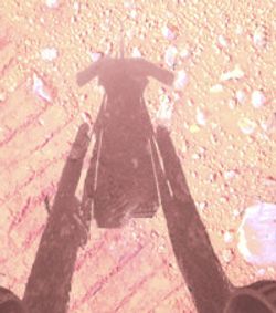 Oppy: A Mars Rover Story show poster