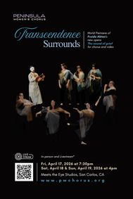 Transcendence Surrounds show poster