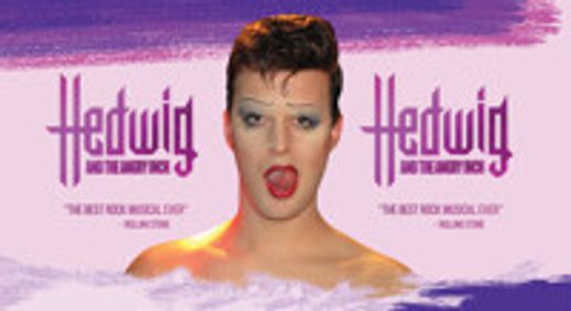 Hedwig and the Angry Inch show poster