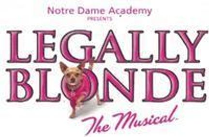 Legally Blonde the Musical show poster