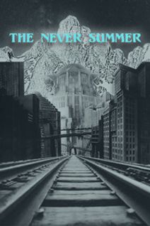 THE NEVER SUMMER