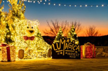 Lumagica USA Enchanted Forest show poster