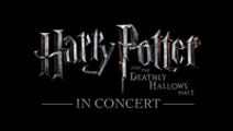 Harry Potter and the Deathly Hallows Part 1 in Concert