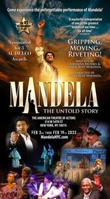 Mandela show poster