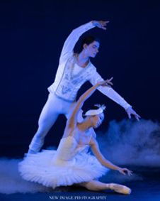 Gotta Dance! show poster