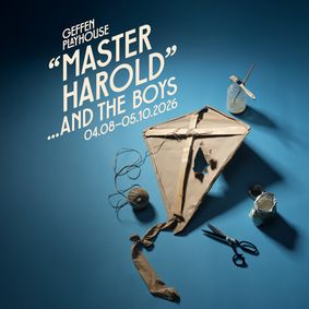 Master Harold...and the Boys show poster