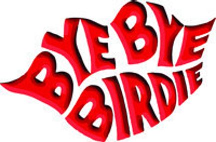 Bye Bye Birdie - Youth Production show poster