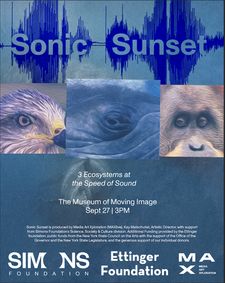 Sonic Sunset show poster