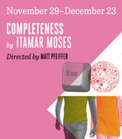 Completeness by Itamar Moses show poster