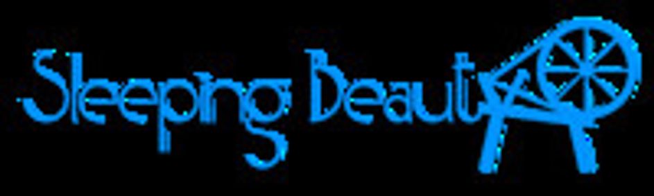 Summer Children’s Theatre: Sleeping Beauty show poster