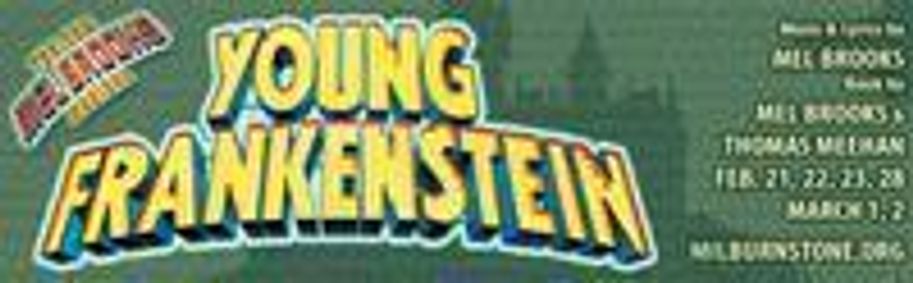 Young Frankenstein The Musical! show poster
