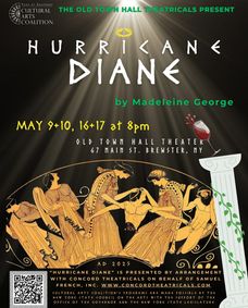 Hurricane Diane show poster