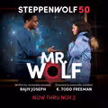 Mr. Wolf in Chicago