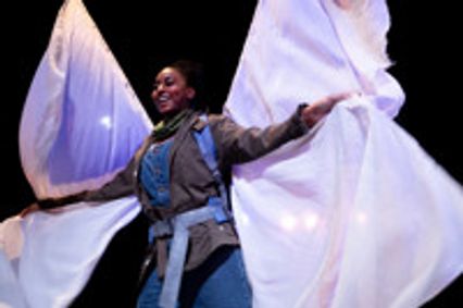 Butterflies show poster