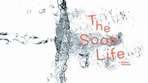 The Soon Life in UK Regional