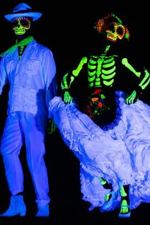 Ballet Nepantla: Mística