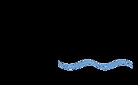 The Play That Goes Wrong show poster