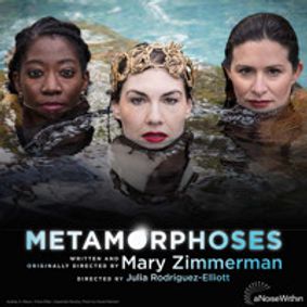 Metamorphoses show poster