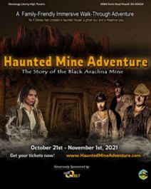  A Haunted Mine Adventure: The Story of the Black Arachna Mine