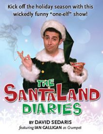 THE SANTALAND DIARIES
