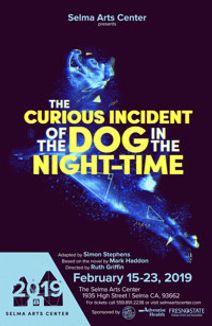 The Curious Incident of the Dog in the Night-Time