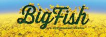 Big Fish