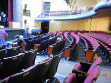 Young Frankenstein show poster