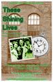 These Shining Lives by Melanie Marnich in Long Island
