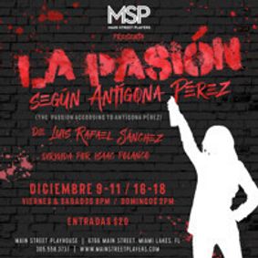 La Pasion Segun Antigona Perez(The Passion According To Antigona Perez) show poster