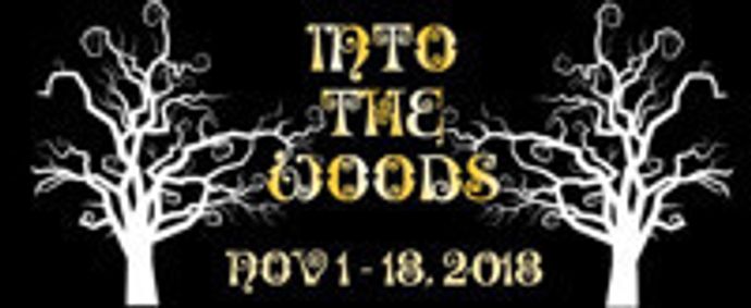 Into the Woods show poster