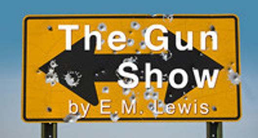 THE GUN SHOW show poster