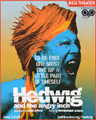 Hedwig and the Angry Inch in New Jersey