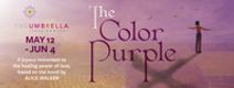 The Color Purple