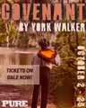 Covenant by York Walker in South Carolina