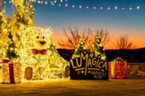 Lumagica USA Enchanted Forest