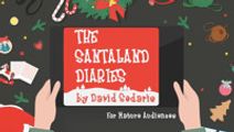 The Santaland Diaries