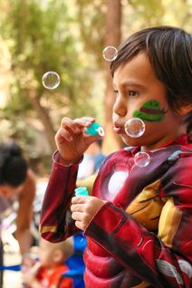 A Faery Hunt Enchanted Adventure