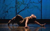 Harbourfront Centre presents Anne Plamondon’s Only You