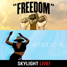 A Look Back/A Look Forward” show poster