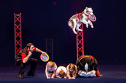 The Perondi's Stunt Dog Experience show poster
