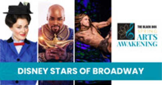 Disney Stars of Broadway show poster