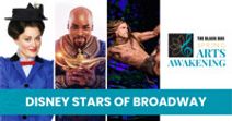 Disney Stars of Broadway